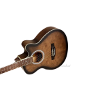 Deviser 4040 Acoustic Cutaway Guitar