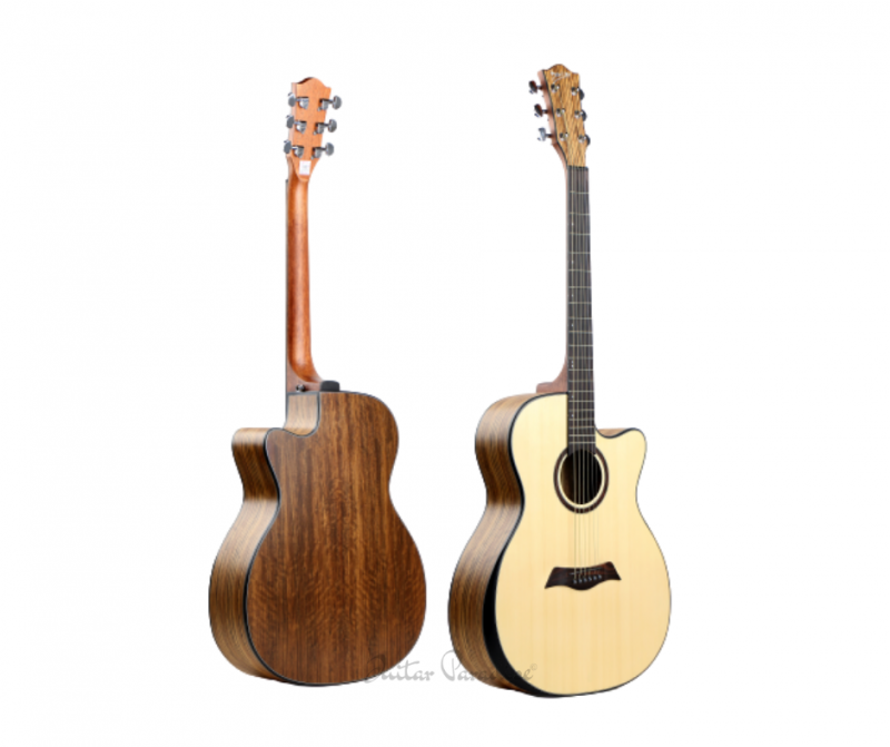 Deviser LS 570 Acoustic Guitar