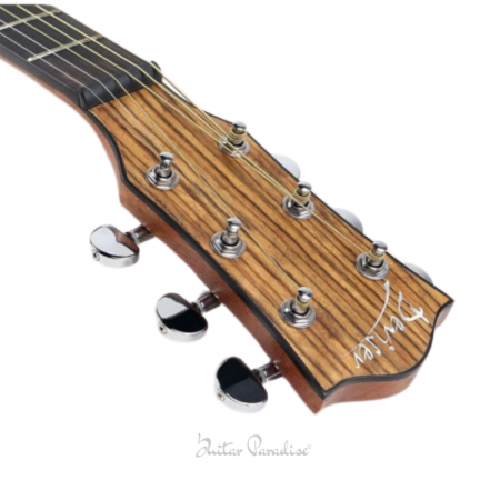 Deviser LS 570 Acoustic Guitar