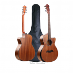 Deviser Semi Acoustic Guitar LS-550