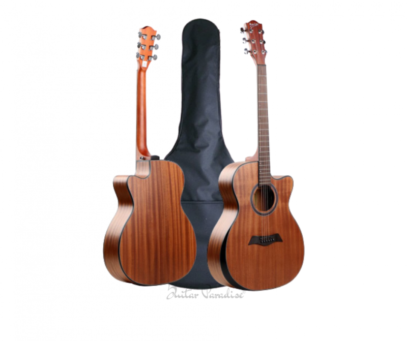 Deviser Semi Acoustic Guitar LS-550
