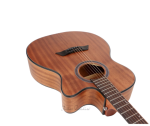 Deviser Semi Acoustic Guitar LS-550