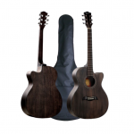 LS-550-41 Semi Acoustic Guitar