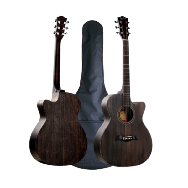 LS-550-41 Semi Acoustic Guitar