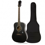 Epiphone DR-100 EB Acoustic Guitar