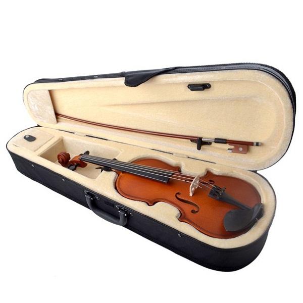 Deviser Professional Violin V-30