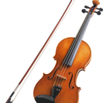 Deviser Professional Violin V-30