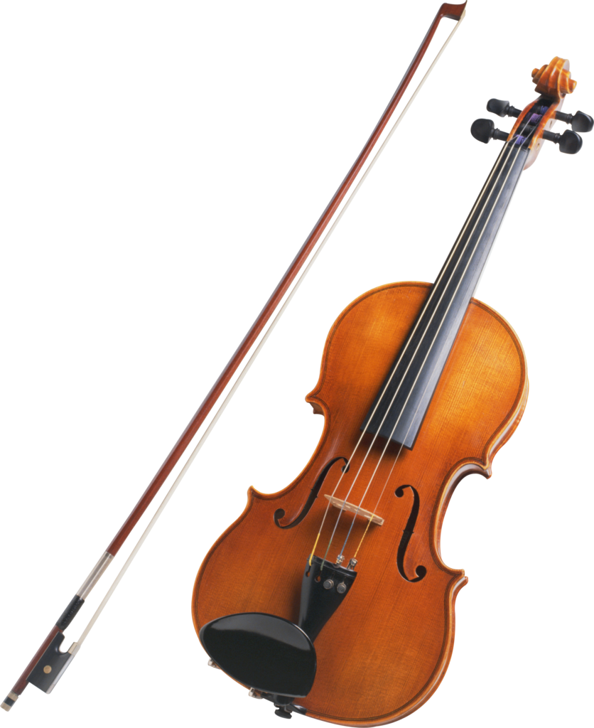 Deviser Professional Violin V-30