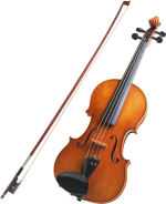 Deviser Professional Violin V-30