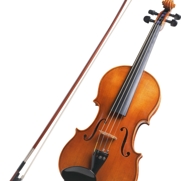 Deviser Professional Violin V-30