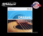 D'Addario EJ38 12-String Phosphor Bronze Acoustic Guitar Strings, .010-.047 Light Gauge