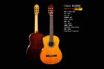 Chard Full Size 39 Inc Classical Nylon Guitar( EC3950)