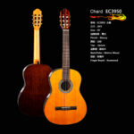 Chard Full Size 39 Inc Classical Nylon Guitar( EC3950)
