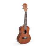 Axe ukulele Concert Size 24 inc with bag and picks