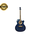 Semi Electric Indian Signature Guitar with Bag & Picks