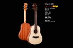 Chard Trave Size Guitar 32B