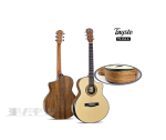 Tayste TS-J34A Premium Acoustic Guitar