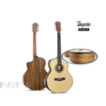 Tayste TS-J34A Premium Acoustic Guitar