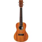 Cordoba 15CM Concert size ukelele