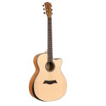 Acoustic Guitar L-570 - Combo Offer - Image 2