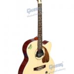 Givson Semi Acoustic Venus (Cut-A-Way, Rose Wood With Pick Up, E.Q.)