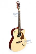 Givson Semi Acoustic Venus (Cut-A-Way, Rose Wood With Pick Up, E.Q.)