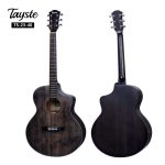 Tayste TS-23-40 Acoustic guitar with gig bag and picks