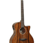 টাঙ্গলেউড-বিবর্তনের বিদেশী ভিনিশিয়ান কাটওয়ে - guiter