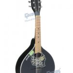 Mandolin Super Special