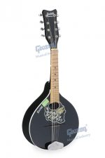 Mandolin Super Special