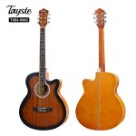 Tayste acoustic guitar T-404 With bag and picks - Image 3
