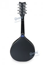 Mandolin Super Special - Image 5