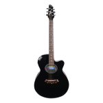 CM2 Semi Acoustic Guitar - 41" - Black