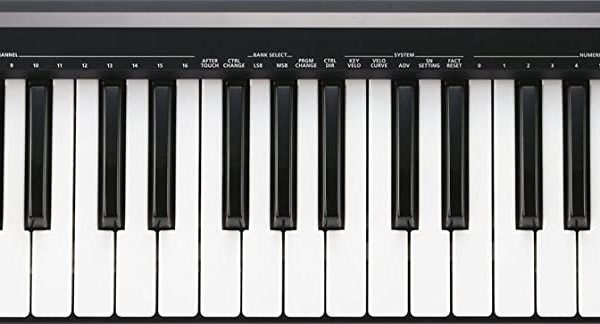 Roland A-49 Lightweight 49-Key MIDI Keyboard Controller
