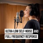 Rode NT2-A Multi-Pattern Large-Diaphragm Studio Condenser Microphone - Image 6