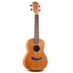 Pudding Concert Ukulele Mehogony