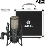 AKG_Pro Audio P220 Large-diaphragm Condenser Microphone - Image 4