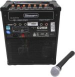Stranger Musical Amplifier with Microphone, 29 - Image 2