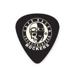 Dunlop variety LUCKY 13 Guitar Pick USA MADE - 1 Pcs - Image 4