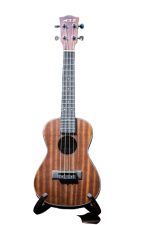 AXE 24Concert Size Ukulele New Edition 2020 - Image 2