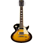 Professional SX Electric Guitar - Image 2