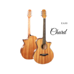 Chard EA40 Acoustic Guitar