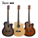 Tayste acoustic guitar T-404 With bag and picks