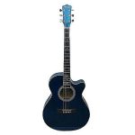 Blue Labu Flutes Acoustic Guitar - AG 48 - Image 2