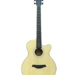 TGM  Acoustic Guitar - Natural