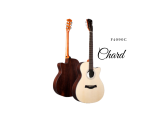 Chard F4090C Acoustic Guitar