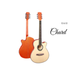 Chard EA-12 Acoustic Cutaway Guitar
