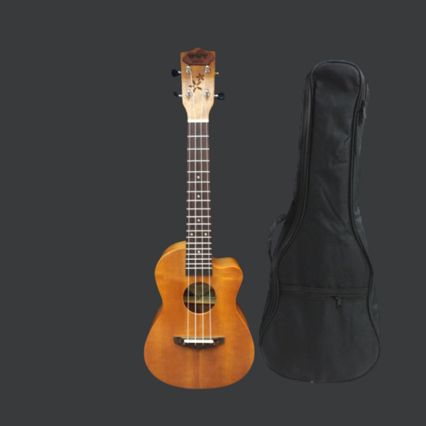 Bws Ft. Pudding C-01 24 Inch Concert Ukulele Mehogony Brown Made in Taiwan