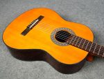 Chard Full Size 39 Inc Classical Nylon Guitar( EC3950) - Image 3
