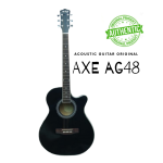 AXE_Pure Acoustic Guitar– AG 48